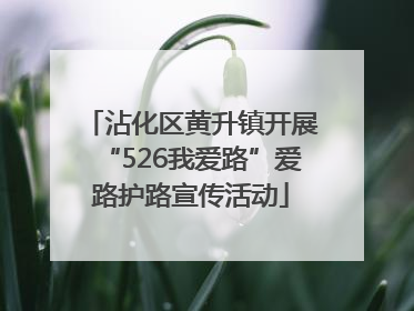 沾化区黄升镇开展“526我爱路”爱路护路宣传活动