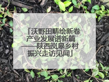 沃野田畴绘新卷 产业发展谱新篇——陕西岚皋乡村振兴走访见闻