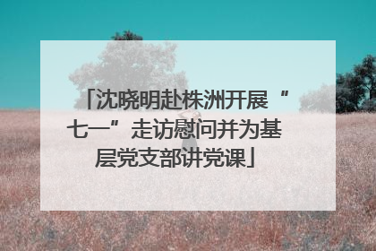 沈晓明赴株洲开展“七一”走访慰问并为基层党支部讲党课