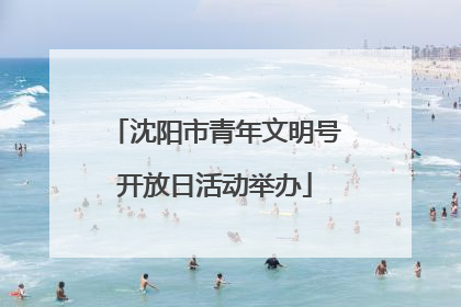 沈阳市青年文明号开放日活动举办
