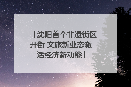 沈阳首个非遗街区开街 文旅新业态激活经济新动能