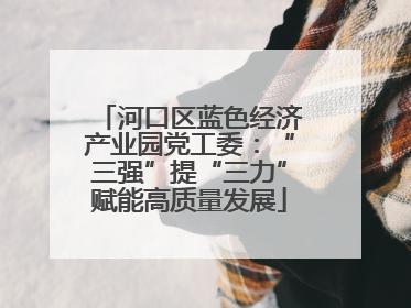 河口区蓝色经济产业园党工委：“三强”提“三力”赋能高质量发展