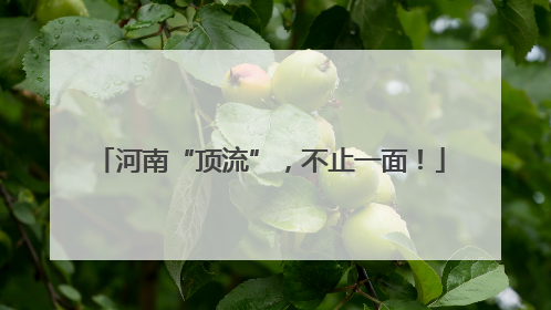河南“顶流”，不止一面！
