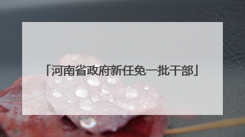 河南省政府新任免一批干部