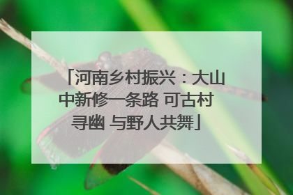 河南乡村振兴：大山中新修一条路 可古村寻幽 与野人共舞