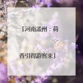河南孟州：荷香引得游客来