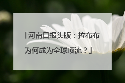 河南日报头版：拉布布为何成为全球顶流？