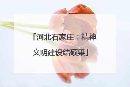 河北石家庄：精神文明建设结硕果