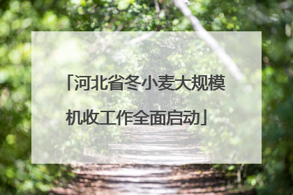 河北省冬小麦大规模机收工作全面启动