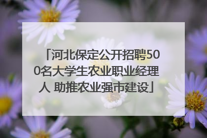 河北保定公开招聘500名大学生农业职业经理人 助推农业强市建设