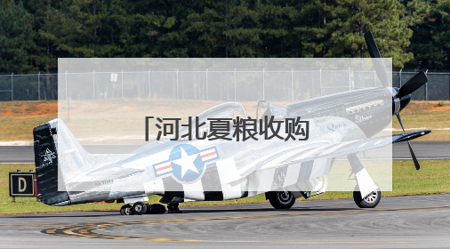 河北夏粮收购工作高效推进