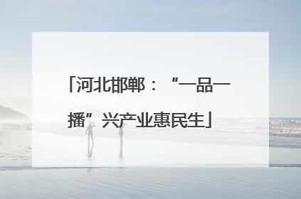 河北邯郸:“一品一播”兴产业惠民生