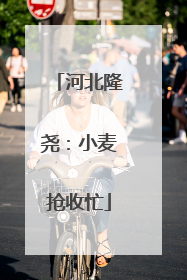 河北隆尧：小麦抢收忙