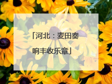 河北：麦田奏响丰收乐章