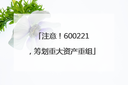 注意！600221，筹划重大资产重组