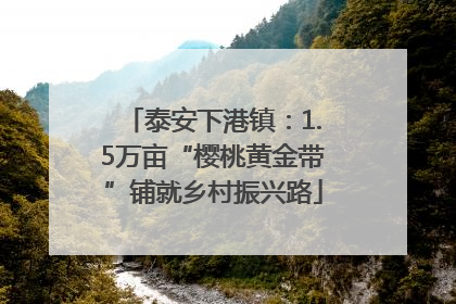泰安下港镇：1.5万亩“樱桃黄金带”铺就乡村振兴路