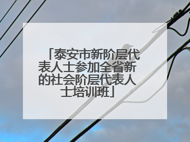 泰安市新阶层代表人士参加全省新的社会阶层代表人士培训班