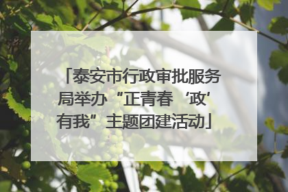 泰安市行政审批服务局举办“正青春‘政’有我”主题团建活动