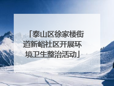 泰山区徐家楼街道新峪社区开展环境卫生整治活动