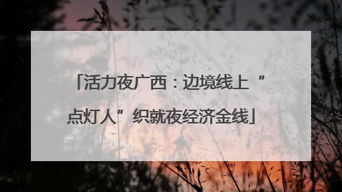 活力夜广西：边境线上“点灯人”织就夜经济金线