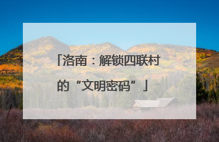 洛南：解锁四联村的“文明密码”