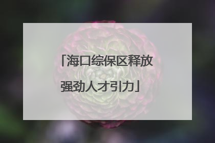 海口综保区释放强劲人才引力