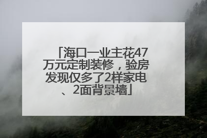 海口一业主花47万元定制装修，验房发现仅多了2样家电、2面背景墙