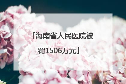海南省人民医院被罚1506万元