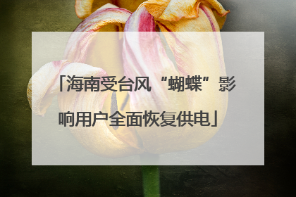 海南受台风“蝴蝶”影响用户全面恢复供电