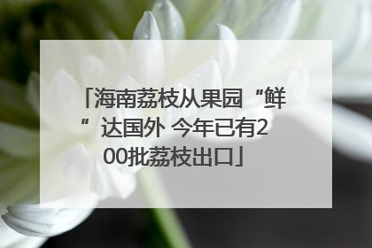 海南荔枝从果园“鲜”达国外 今年已有200批荔枝出口