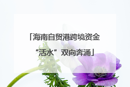 海南自贸港跨境资金“活水”双向奔涌