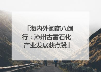 海内外闽商八闽行：漳州古雷石化产业发展获点赞