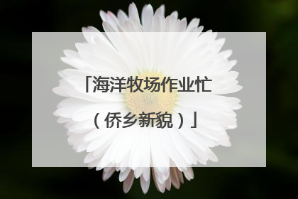 海洋牧场作业忙（侨乡新貌）