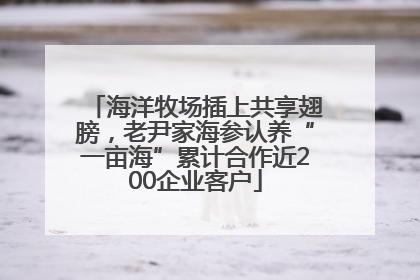 海洋牧场插上共享翅膀，老尹家海参认养“一亩海”累计合作近200企业客户