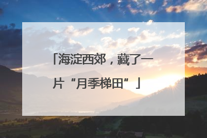 海淀西郊，藏了一片“月季梯田”