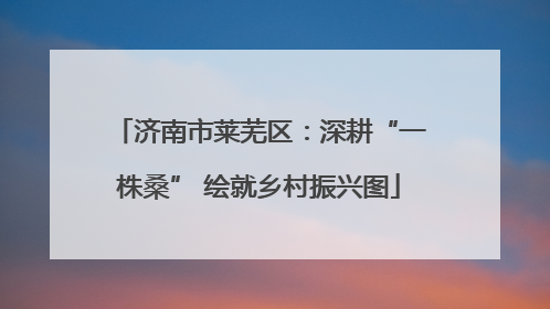 济南市莱芜区：深耕“一株桑” 绘就乡村振兴图