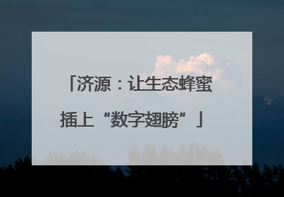 济源：让生态蜂蜜插上“数字翅膀”