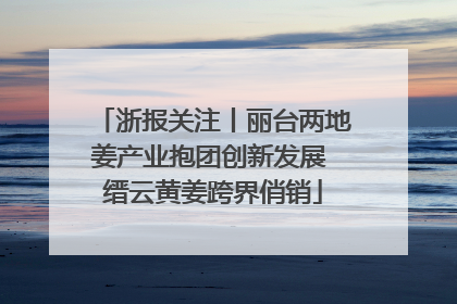 浙报关注丨丽台两地姜产业抱团创新发展 缙云黄姜跨界俏销