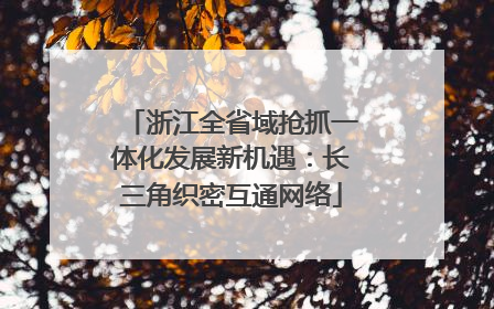 浙江全省域抢抓一体化发展新机遇：长三角织密互通网络