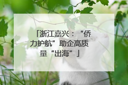 浙江嘉兴：“侨力护航”助企高质量“出海”