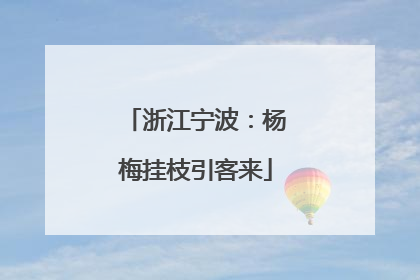浙江宁波：杨梅挂枝引客来