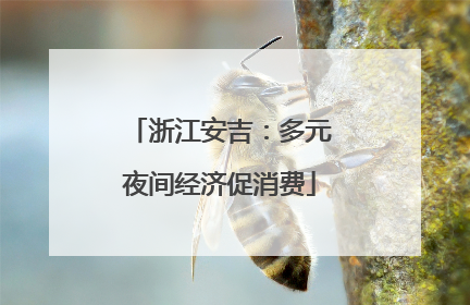 浙江安吉：多元夜间经济促消费