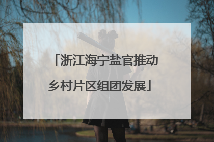 浙江海宁盐官推动乡村片区组团发展