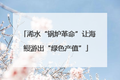 浠水“锅炉革命”让海鳗游出“绿色产值”