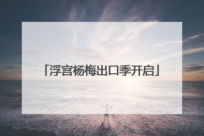 浮宫杨梅出口季开启