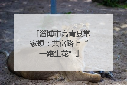 淄博市高青县常家镇：共富路上“一路生花”