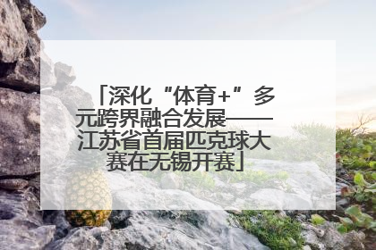 深化“体育+”多元跨界融合发展——江苏省首届匹克球大赛在无锡开赛