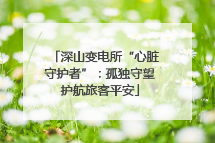 深山变电所“心脏守护者”：孤独守望护航旅客平安