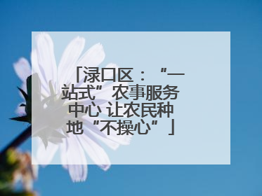 渌口区：“一站式”农事服务中心 让农民种地“不操心”