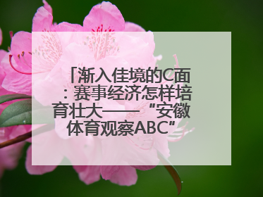 渐入佳境的C面：赛事经济怎样培育壮大——“安徽体育观察ABC”系列报道之三